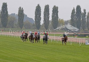 Kategorie: Avenches, 8.10.2018 (M.Bürgin)