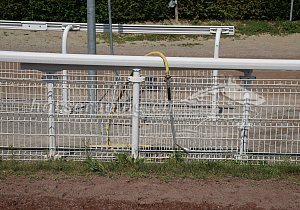 Kategorie: Avenches, 1.8.2018 (mmo)