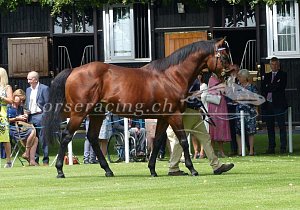 Kategorie: Darley Stallion Parade 2018 (K. Keller)