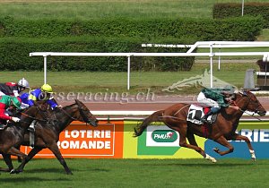 Kategorie: Avenches, 21.7.2019 (mmo)