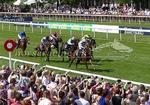 Kategorie: Newmarket, Juli 2019 (K.Keller)