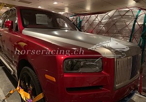 Kategorie: Yonkers-Reise, Uza Josselyn (Okt 2019)