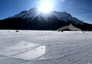 Kategorie: White Turf Voreindrücke, 31.1.2020