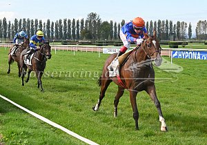 Kategorie: Avenches, 12.10.2020 (U.Wild)