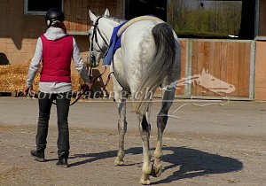 Kategorie: Avenches, Zambeso, 9.4.2020