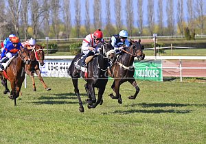 Kategorie: Avenches, 23.04.2021 (U.Wild)