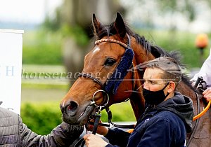 Kategorie: Dielsdorf, 24.05.2021 (N.Vorburger)