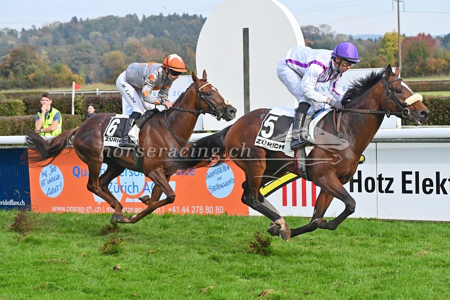 Dielsdorf, 19.10.2025: NICLAS bodigt WALKOVER im St. Leger - grossartiger Auftritt von MISS TALVARD bei den Zweijährigen