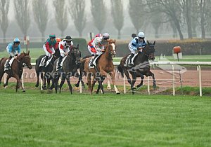 Kategorie: Avenches, 07.11.2025 (U. Wild)