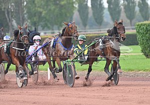 Kategorie: Avenches, 16.10.2025 (U. Wild)