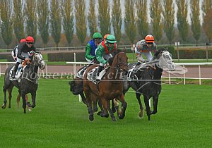 Kategorie: Avenches, 31.10.2025 (U. Wild)