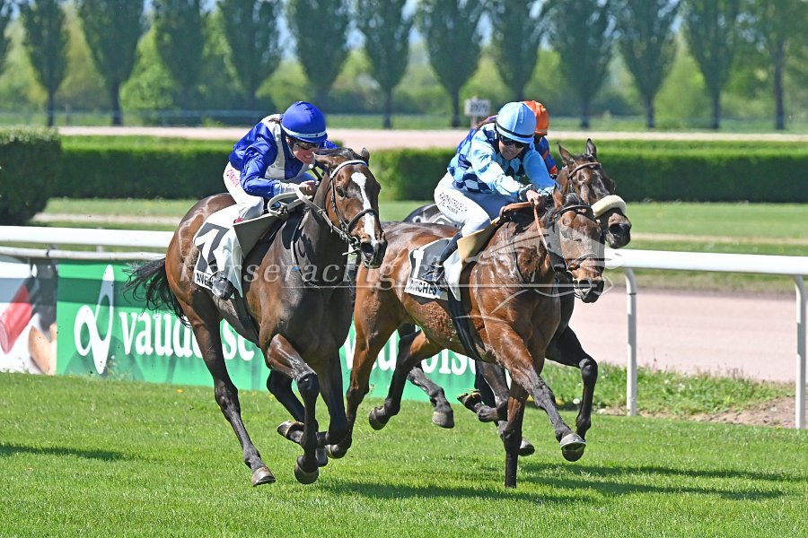 Avenches, 24.4.2026: DESNA steigert sich im Handicap 2 zum Sieg - schön verteilte Erfolge in den fünf Rennen