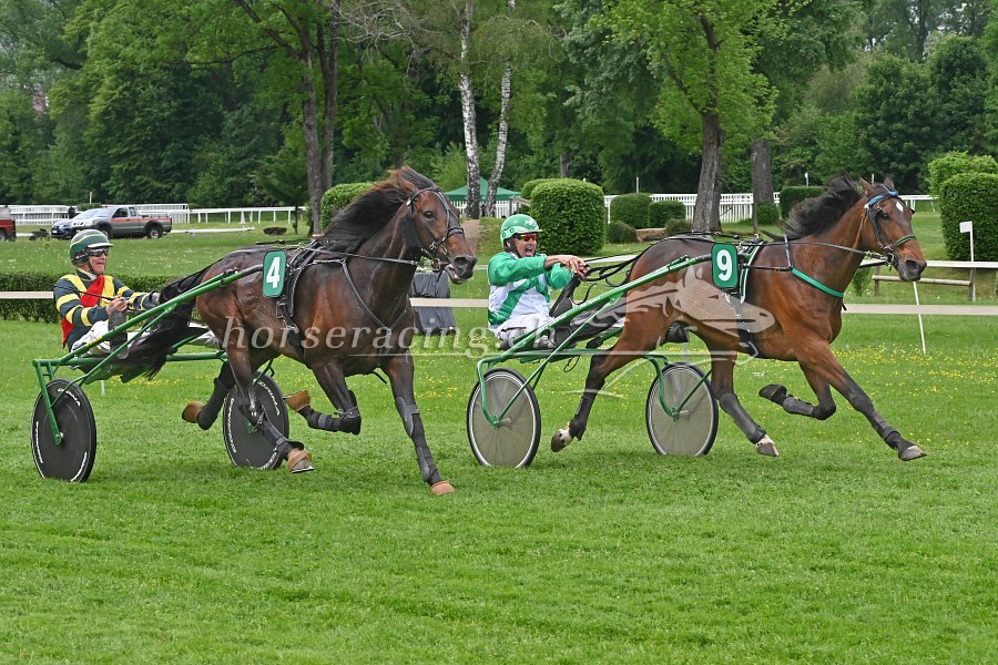 Aarau, 10. Mai 2026: GITANO entthront ENATTOF im Mai-Preis in einem heroischen Duell