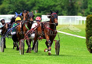 Kategorie: Aarau, 31.5.2026 (N. Vorburger)