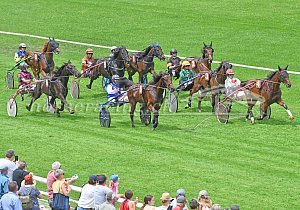 Kategorie: Aarau, 31.5.2026 (U.Wild)