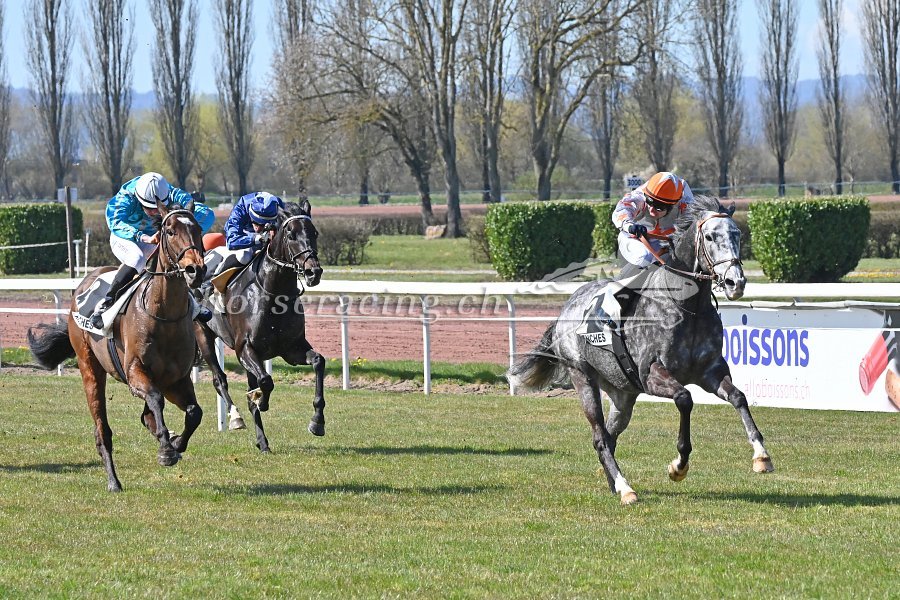 Avenches, 4.4.2026: DRESSMAN und FIRE CRACKER doppeln in den 10000ern nach - 3 Siege für Claudia Erni