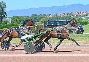 Kategorie: Avenches, 13.06.2026 (U. Wild)