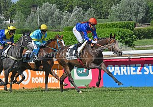 Kategorie: Avenches, 03.07.2026 (U. Wild)