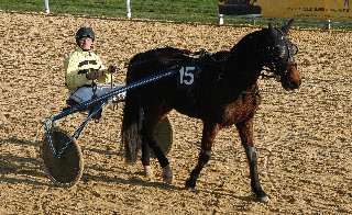 Icarius und J.-B. Matthey