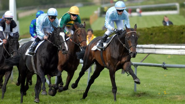 Moon Star neben Glavalcour