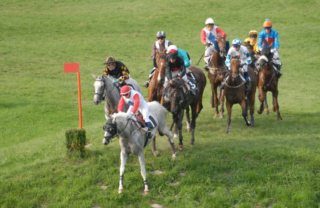 Silver Groom in Front