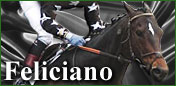 Feliciano