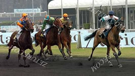 Vincennes-Sieg Morgane d'Yvel